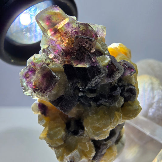 Cubes de fluorite fantôme colorés, spécimen de muscovite, Erongo, Namibie, 43 x 35 x 25 mm 