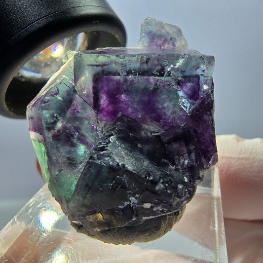 Spécimen de cube de fluorite fantôme, parqueté vert violet Okorusu, Namibie 32*28*17 mm 