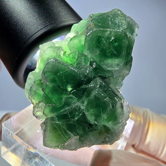 Cube de fluorite fantôme, tourmaline Schorl, Erongo, Namibie, 35 x 23 x 23 mm 