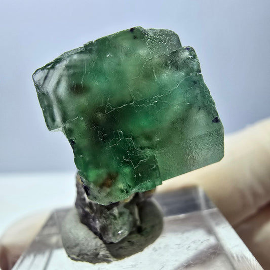 Spécimen de cube de fluorite fantôme, parquet vert Okorusu, Namibie 27 x 21 x 15 mm 