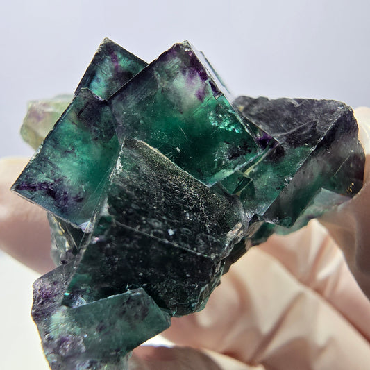 Spécimen de cube de fluorite fantôme parqueté vert violet Okorusu, Namibie 45*40*24 mm 