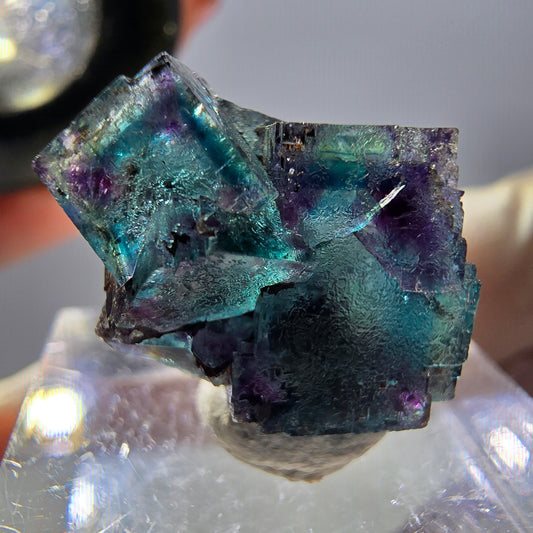 Spécimen de cube de fluorite fantôme, parqueté vert violet Okorusu, Namibie 20 x 15 x 12 mm 