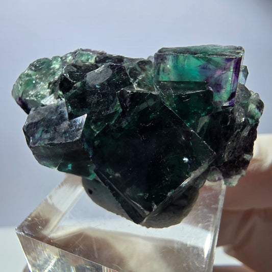 Rare Fluorite Cube Specimen, green purple Okorusu, Namibia 42*25*17mm 