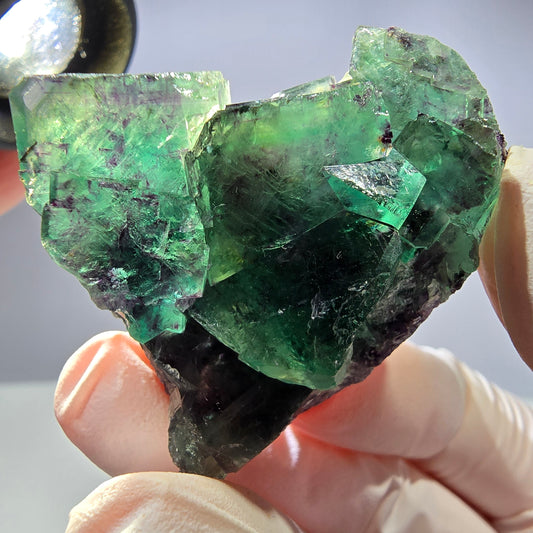 Spécimen de cube de fluorite fantôme parqueté vert violet Okorusu, Namibie 41*35*18mm 