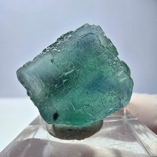 Cube de fluorite fantôme transparente parquetée, vert Okorusu, Namibie 20 x 18 x 17 mm 