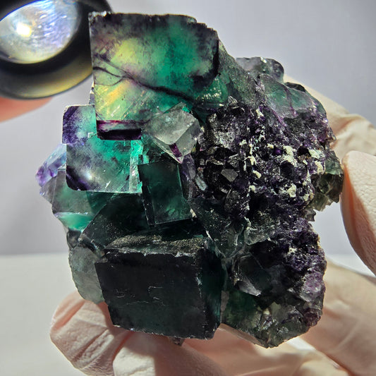 Spécimen de cube de fluorite fantôme, parqueté vert violet Okorusu, Namibie 59*46*39 mm 