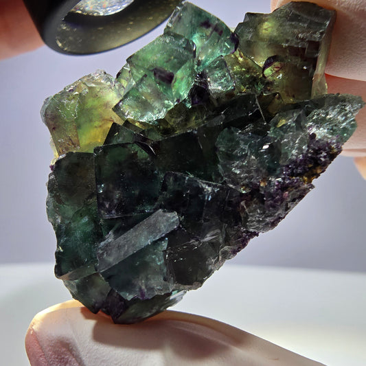Spécimen de cube de fluorite fantôme parqueté vert violet Okorusu, Namibie 51*31*22mm 