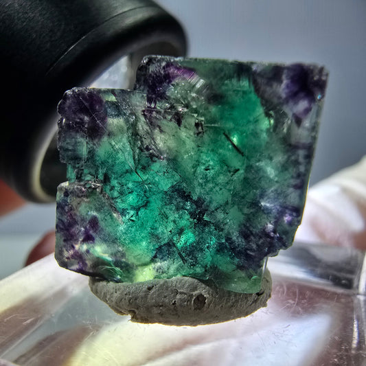 Cube de fluorite fantôme parqueté, vert violet Okorusu, Namibie 19*16*11mm 
