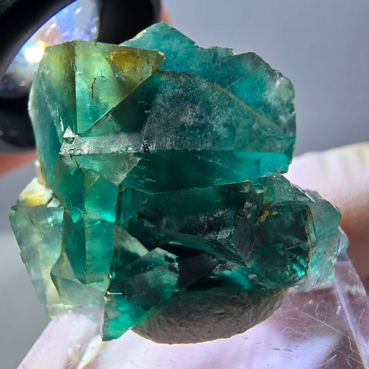 Spécimen de cube de fluorite fantôme, parquet vert Okorusu, Namibie 29*25*15 mm 