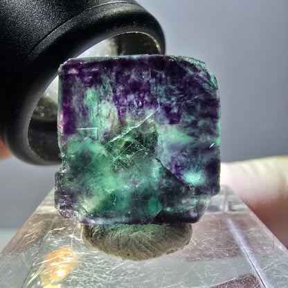 Phantom Fluorite cube parquetted, green purple Okorusu, Namibia 17*17*16mm 