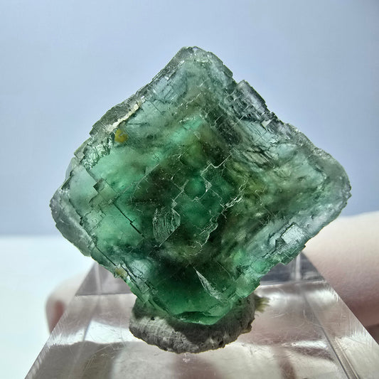 Cube de fluorite fantôme transparente parquetée, vert Okorusu, Namibie 23 x 21 x 15 mm 