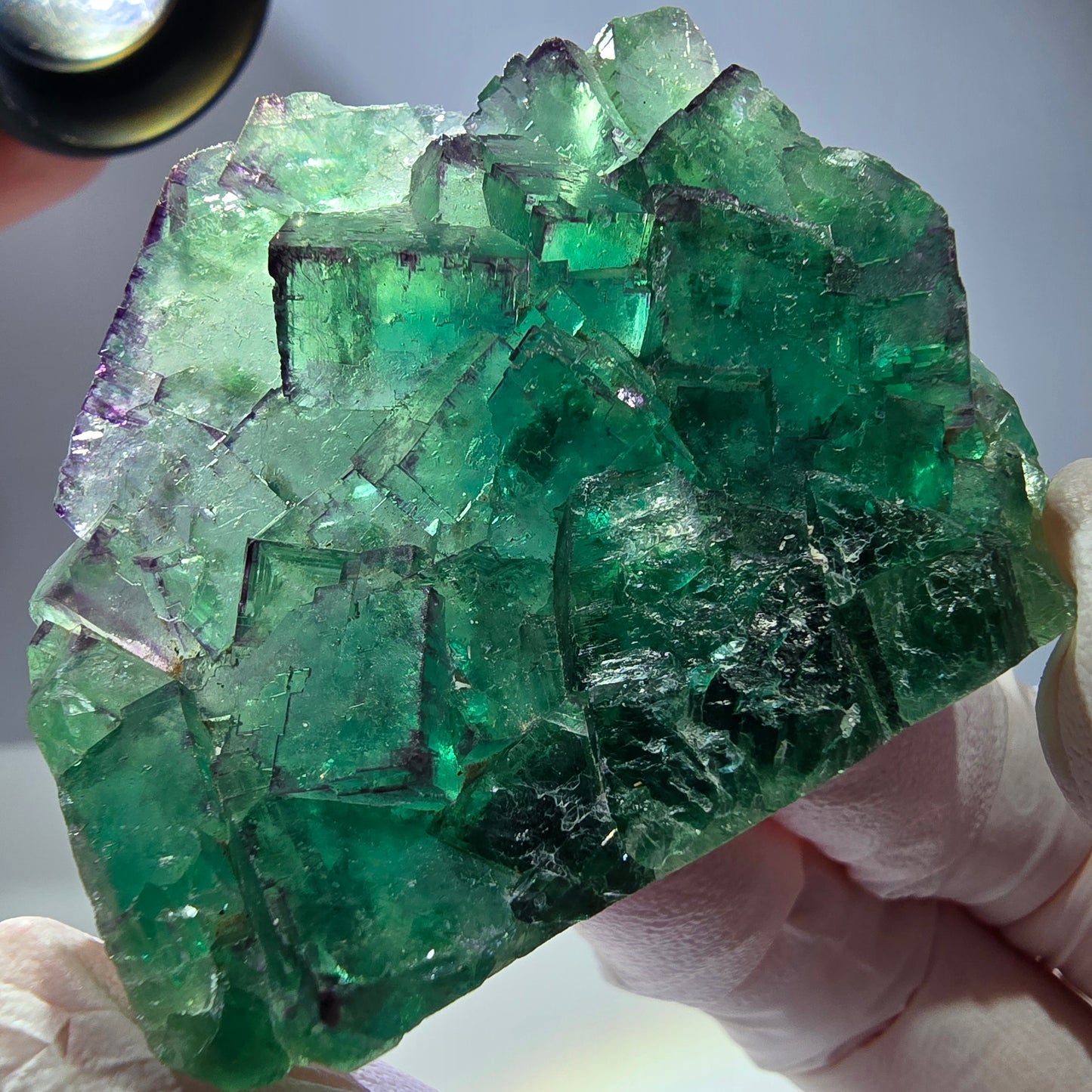 Spécimen de cube de fluorite fantôme, parqueté vert violet Okorusu, Namibie 55*41*16 mm 
