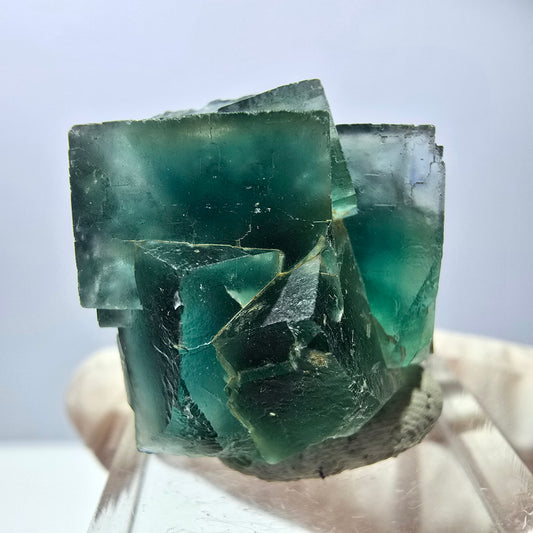 Phantom Fluorit Würfel Stufe, grün parkettiert Okorusu, Namibia 32*24*17mm