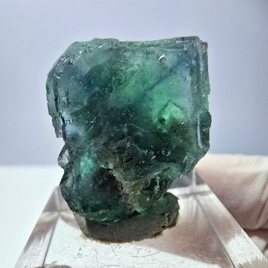 Cube de fluorite fantôme transparente parquetée, vert Okorusu, Namibie 25 x 19 x 15 mm 