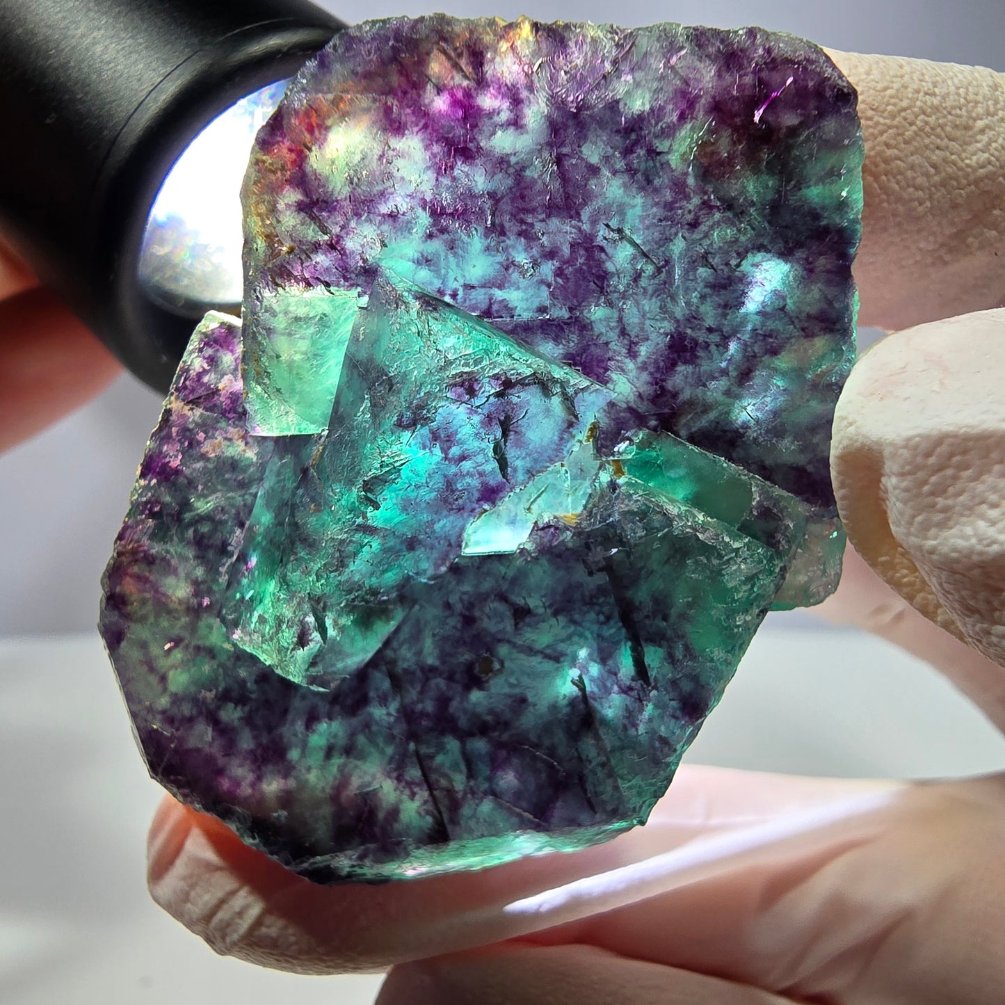 Spécimen de cube de fluorite fantôme, parqueté vert violet Okorusu, Namibie 51*35*16 mm 