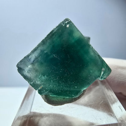 Cube de fluorite fantôme transparente parquetée, vert Okorusu, Namibie 18 x 18 x 17 mm 