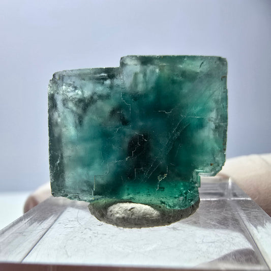 Cube de fluorite fantôme transparente parquetée, vert Okorusu, Namibie 19 x 16 x 14 mm 