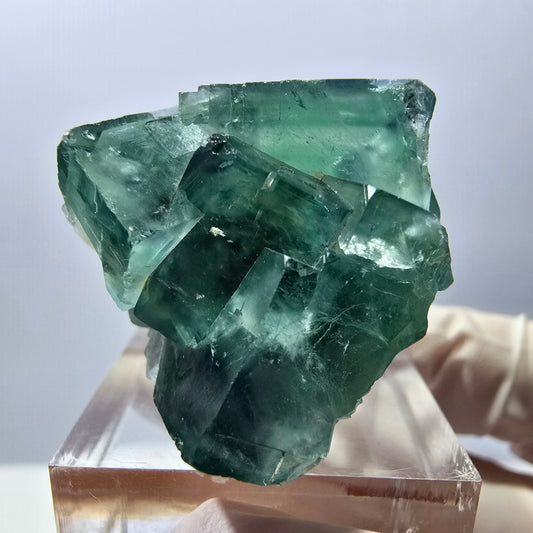 Phantom Fluorit Würfel Stufe, grün parkettiert Okorusu, Namibia 37*30*27mm