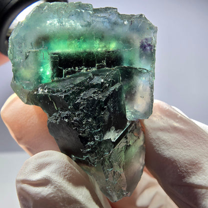 Spécimen de cube de fluorite fantôme parqueté vert violet Okorusu, Namibie 40*29*21mm 