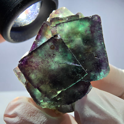 Spécimen de cube de fluorite fantôme parqueté vert violet Okorusu, Namibie 40*36*26 mm 