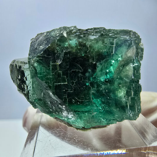 Rare spécimen de cube de fluorite fantôme, vert Okorusu, Namibie 34 x 21 x 21 mm 