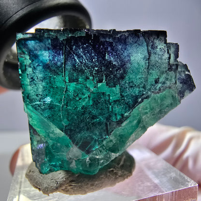 Phantom Fluorit Würfel parkettiert, grün lila Okorusu, Namibia 29*23*22mm