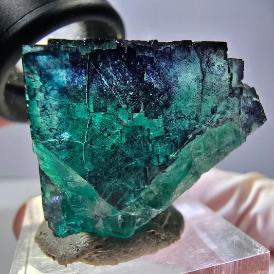 Cube de fluorite fantôme parqueté, vert violet Okorusu, Namibie 29*23*22mm 