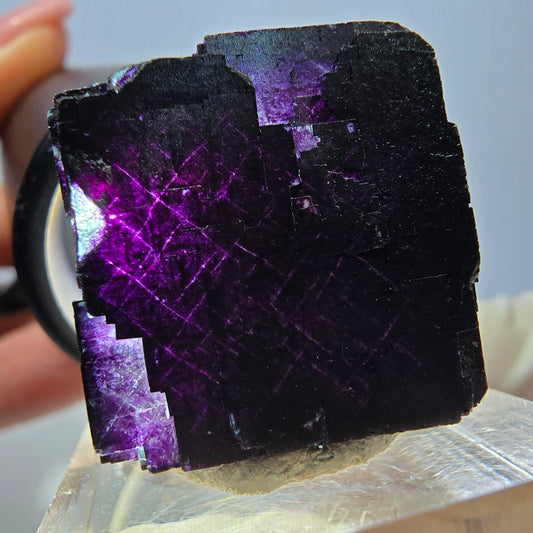 Phantom Fluorit Würfel Stufe grün lila zonal 11:11 Angel Pocket, Namibia 22*22*20mm