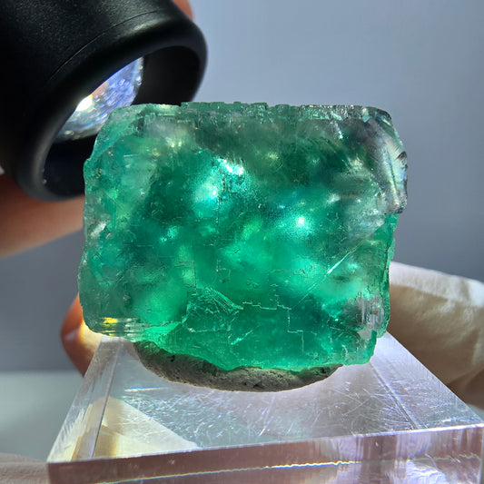Spécimen de cube de fluorite fantôme, parquet vert Okorusu, Namibie 27 x 24 x 22 mm 