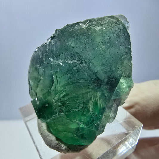 Rare spécimen de cube de fluorite fantôme, vert Okorusu, Namibie 35 x 27 x 20 mm 