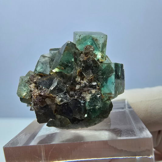 Spécimen de cube de fluorite fantôme, parquet vert Okorusu, Namibie 26 x 22 x 19 mm 