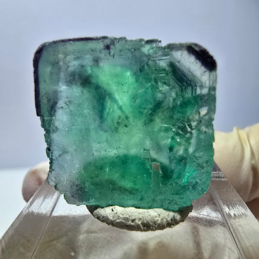 Cube de fluorite fantôme parqueté, vert violet Okorusu, Namibie 20*21*19mm 
