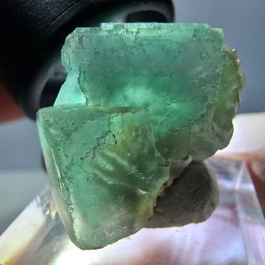 Spécimen de cube de fluorite fantôme, parqueté vert Okorusu, Namibie 23*23*22mm 