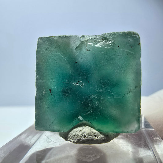 Cube de fluorite fantôme transparente parquetée, vert Okorusu, Namibie 20 x 18 x 11 mm 