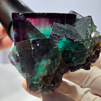 Spécimen de cube de fluorite fantôme, parqueté vert violet Okorusu, Namibie 56*51*45 mm 
