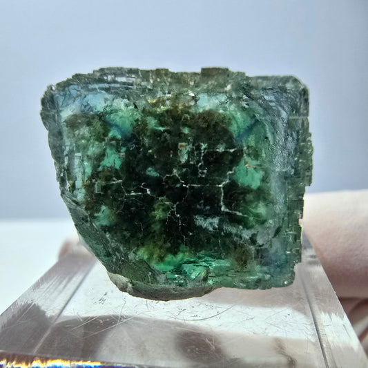 Cube de fluorite fantôme transparente parquetée, vert Okorusu, Namibie 22 x 17 x 16 mm 