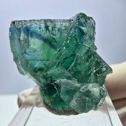 Seltene Phantom Fluorit Würfel Stufe, grün Okorusu, Namibia 31*27*17mm