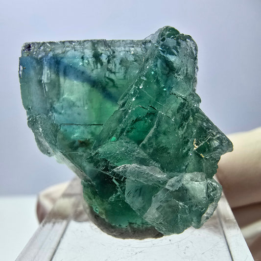 Rare spécimen de cube de fluorite fantôme, vert Okorusu, Namibie 31 x 27 x 17 mm 