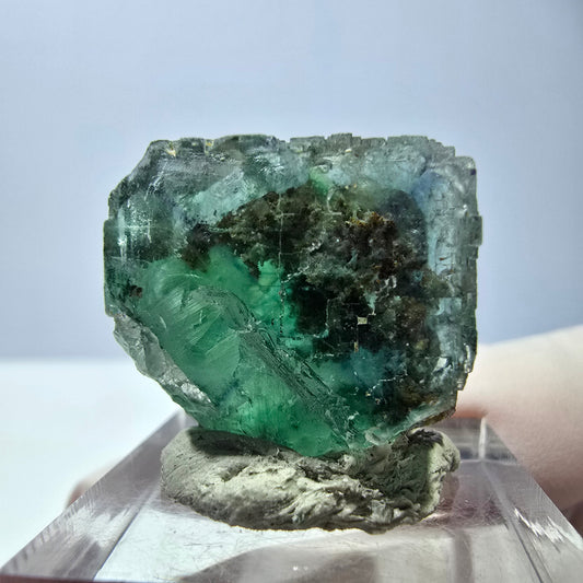 Cube de fluorite fantôme transparente parquetée, vert Okorusu, Namibie 21 x 21 x 19 mm 
