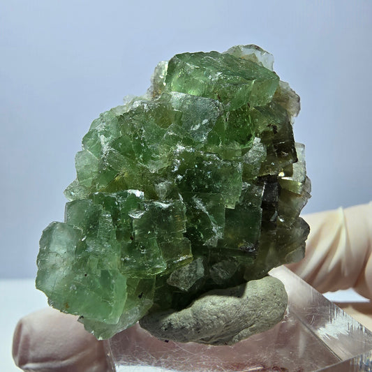 Rare spécimen de cube de fluorite fantôme, vert Okorusu, Namibie 45 x 33 x 17 mm 
