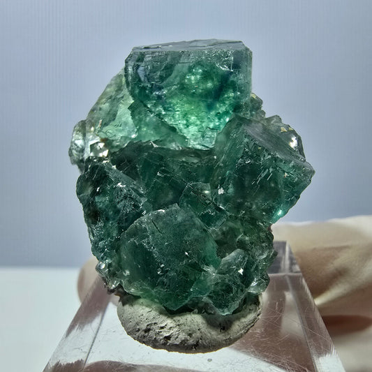 Spécimen de cube de fluorite fantôme, parqueté vert Okorusu, Namibie 38*28*16 mm 