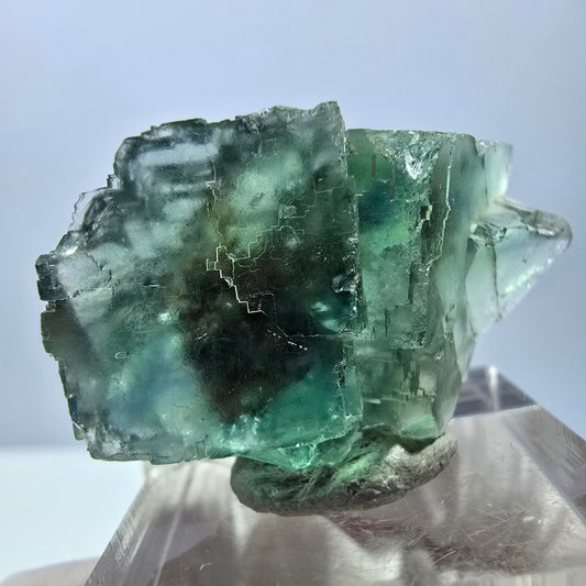 Spécimen de cube de fluorite fantôme, parquet vert Okorusu, Namibie 38 x 25 x 13 mm 