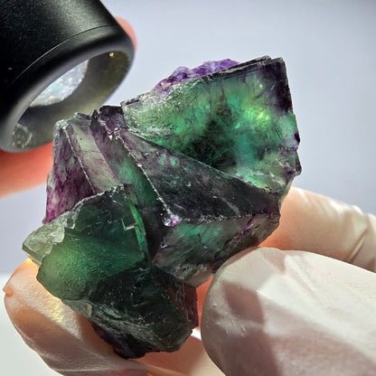 Spécimen de cube de fluorite fantôme parqueté vert violet Okorusu, Namibie 45*28*25 mm 
