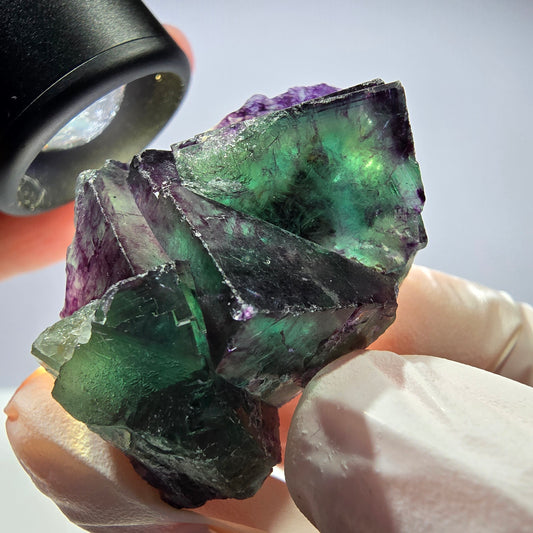 Spécimen de cube de fluorite fantôme parqueté vert violet Okorusu, Namibie 45*28*25 mm 