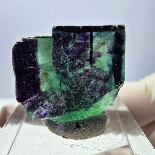 Phantom Fluorit Würfel Stufe grün lila zonal 11:11 Angel Pocket, Namibia 24*21*19mm