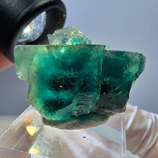 Spécimen de cube de fluorite fantôme, parquet vert Okorusu, Namibie 28*25*17 mm 