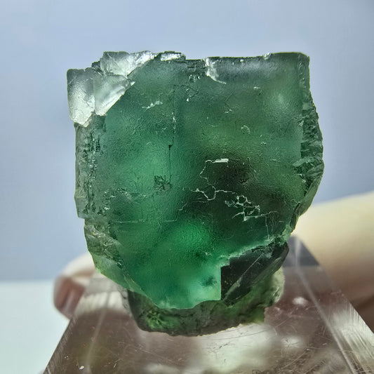 Rare spécimen de cube de fluorite fantôme, vert Okorusu, Namibie 25 x 23 x 22 mm 