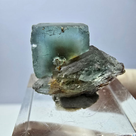 Rare spécimen de cube de fluorite fantôme, vert Okorusu, Namibie 22 x 19 x 18 mm 