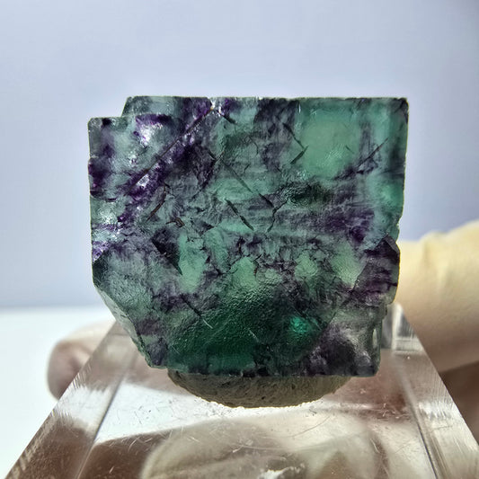 Cube de fluorite fantôme parqueté, vert violet Okorusu, Namibie 21*19*8mm 