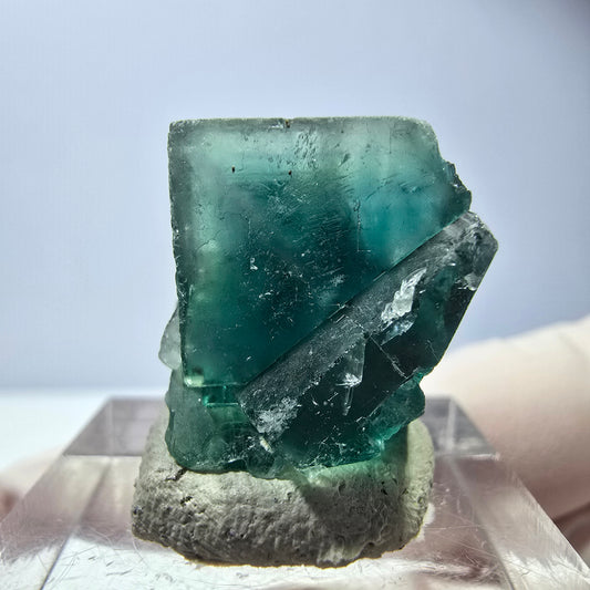 Cube de fluorite fantôme transparente parquetée, vert Okorusu, Namibie 20 x 19 x 16 mm